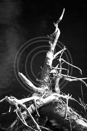_MG_8159-F