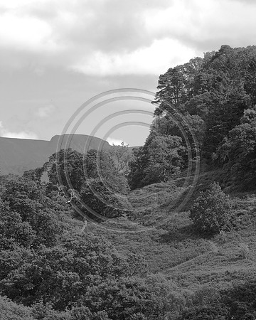 _MG_7856-2