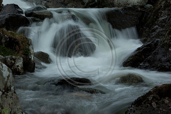 _MG_8395