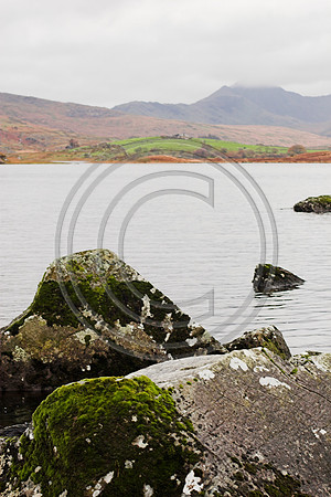 _MG_3050-01