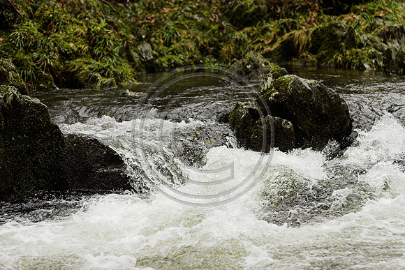 _MG_3031-01
