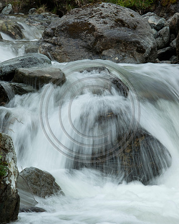 _MG_8412