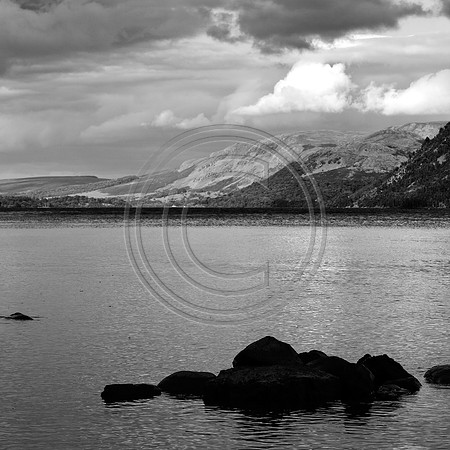 _MG_7937