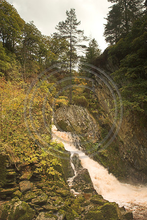 _MG_1746-01