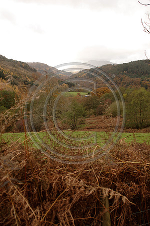 _MG_3016