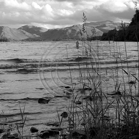 _MG_7984-bw