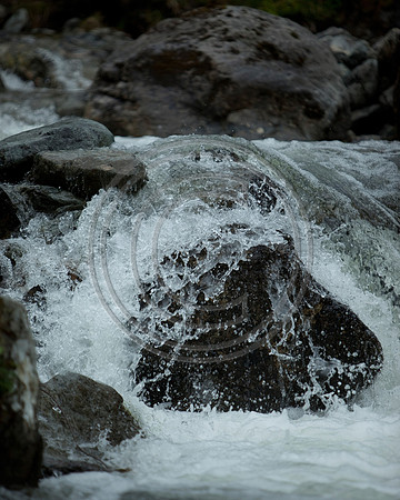 _MG_8411