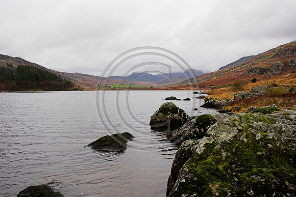 _MG_3039-01