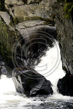 _MG_2969 Mod