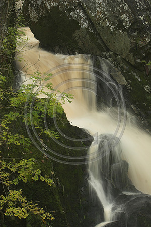 _MG_1748-01