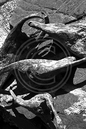 Chain, Hartland Quay