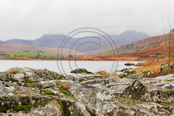 _MG_3044-01
