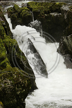 _MG_3035-01