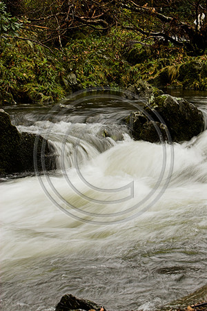_MG_3023-01