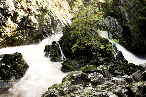 _MG_1737-01