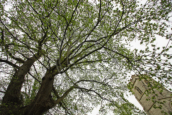 St Giles
