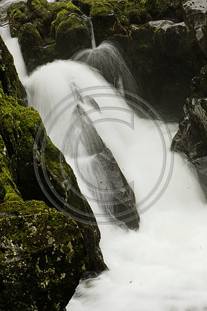 _MG_3033-01