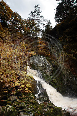 _MG_1746 Autumn