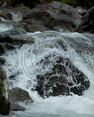 _MG_8410