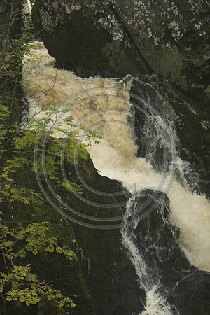 _MG_1750-01