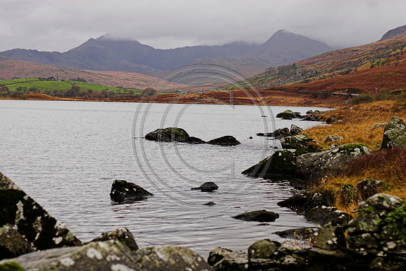 _MG_3046-01