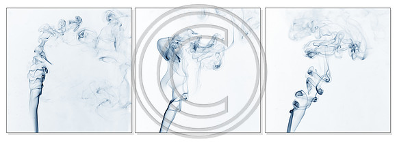 Tryptic