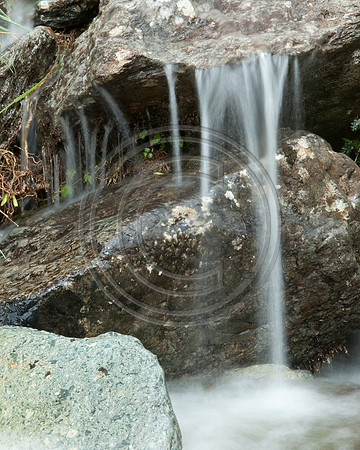 _MG_8453