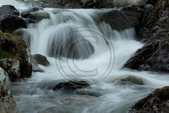 _MG_8394