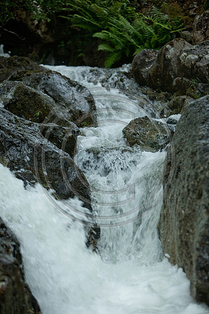 _MG_8482
