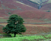 Wastwater