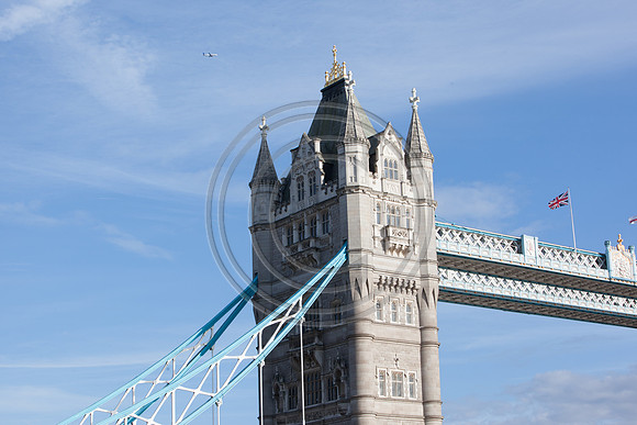 _MG_0724