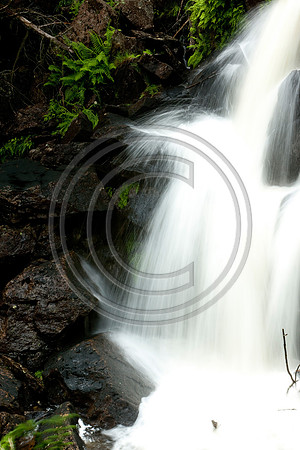 _MG_8131-F