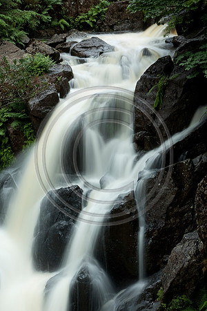 _MG_8129-F