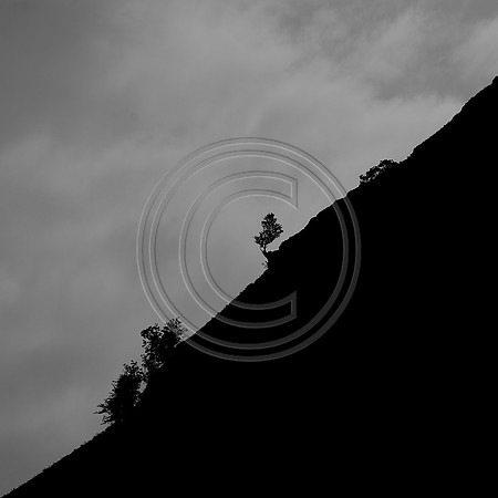 Hillside