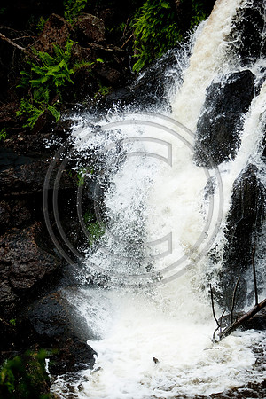 _MG_8134-F